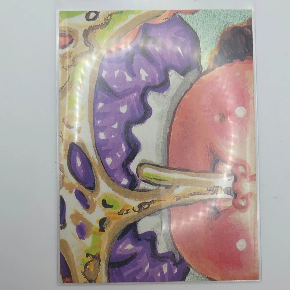 Garbage Pail Kids Trading Card OS2 Pink Fair 68a Oliver Twisted